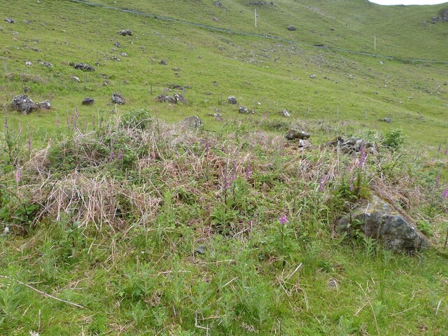 MHG56583_559622.04_a.jpg