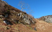 MHG54589_464701_a.JPG