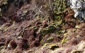 MHG54589_464701_b.JPG