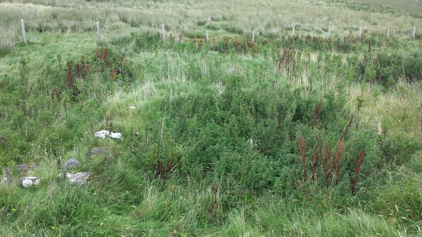 EHG3972_Grealin Photo - Sep 13 - 24.jpg