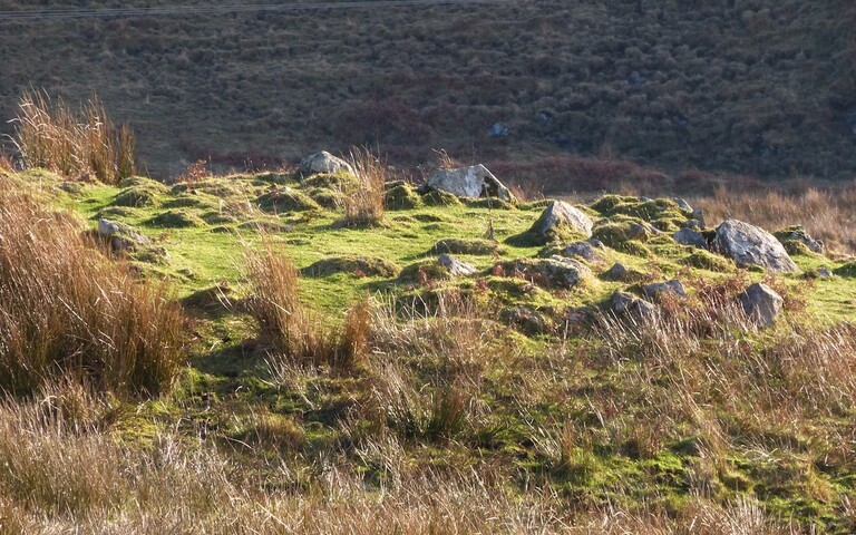 MHG56616_509649_a.jpg