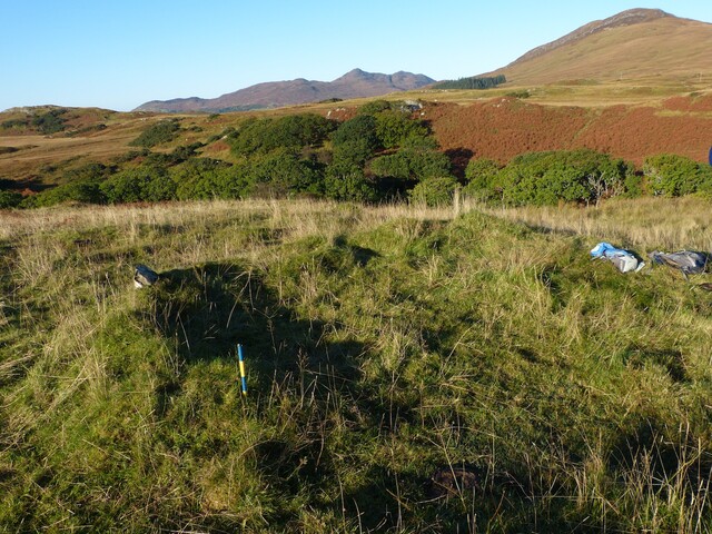 MHG56618_01.JPG