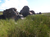 EHG3987_image_02.JPG