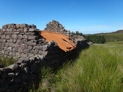 EHG3987_image_06.JPG
