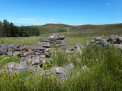 EHG3987_image_12.JPG