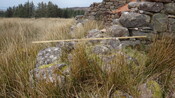 EHG3987_image_28.JPG