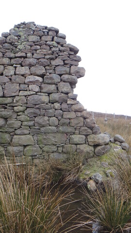 EHG3987_image_38.JPG