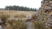 EHG3987_image_40.JPG