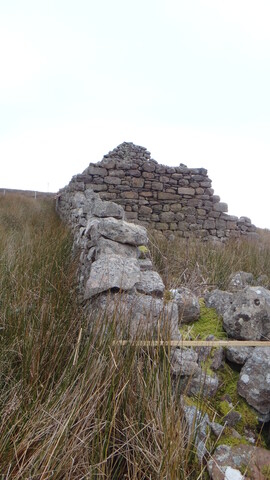EHG3987_image_52.JPG