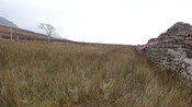 EHG3987_image_62.JPG
