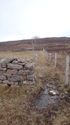 EHG3987_image_65.JPG