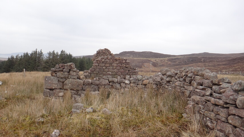 EHG3987_image_66.JPG