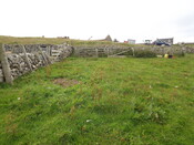 EHG3992_image_05.jpg