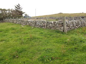 EHG3992_image_06.jpg