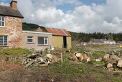 EHG3993_image_01.JPG