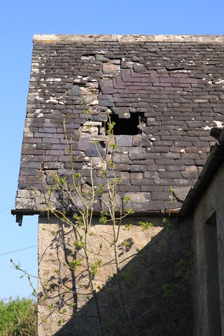 EHG3997_image_14.jpg