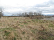 EHG3999_Image 33.JPG
