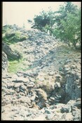 933.jpg
