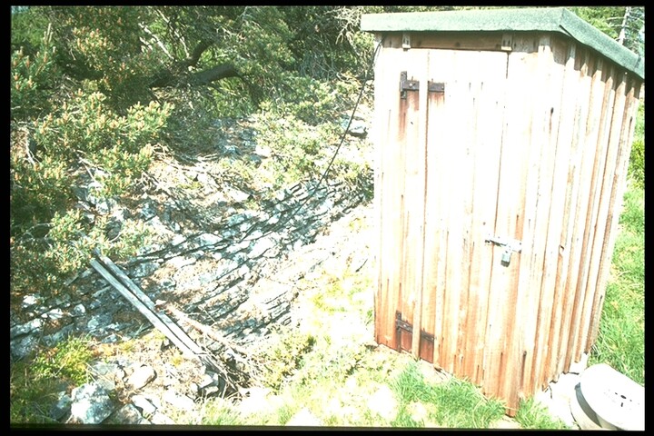 946.jpg