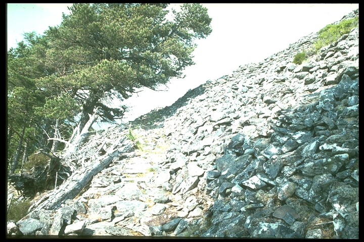 957.jpg