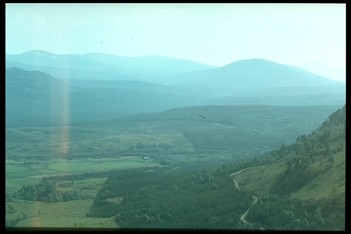 963.jpg