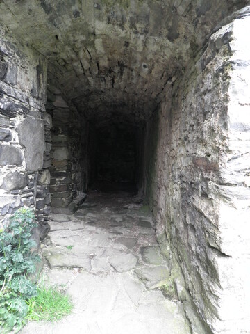 MHG45417_CastleTioram22.JPG