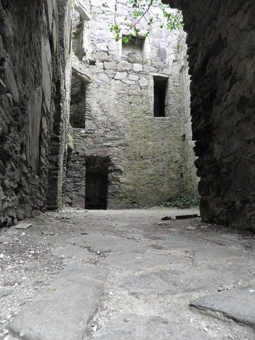 MHG45417_CastleTioram25.JPG