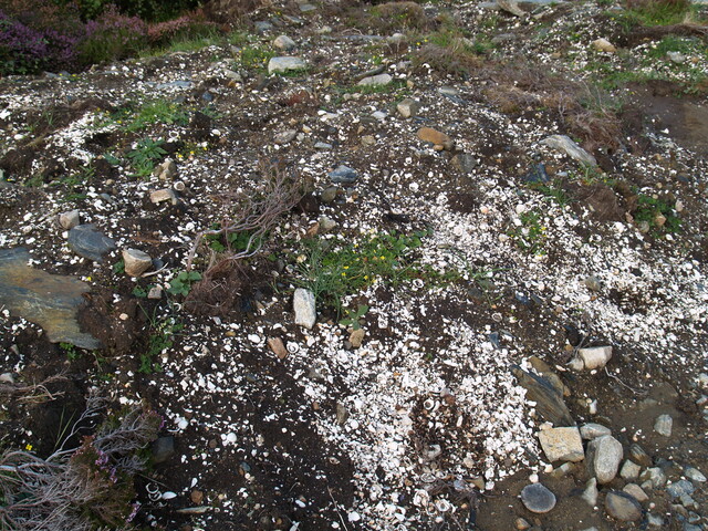 MHG50537_Bottom Midden.JPG