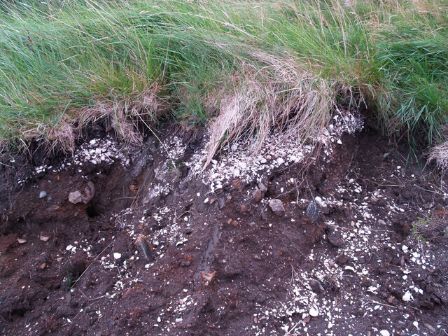 MHG50537_Top Midden 01.JPG