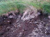 MHG50537_Top Midden 01.JPG