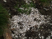 MHG50537_Top Midden 03.JPG