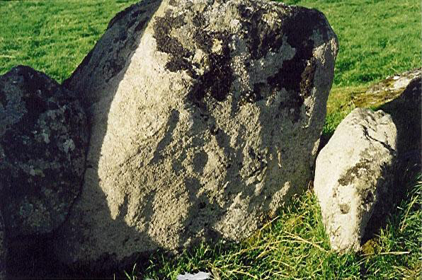 SHG26177_Tordarroch Cup & Ringmark.jpg