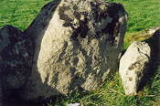 SHG26177_Tordarroch Cup & Ringmark.jpg