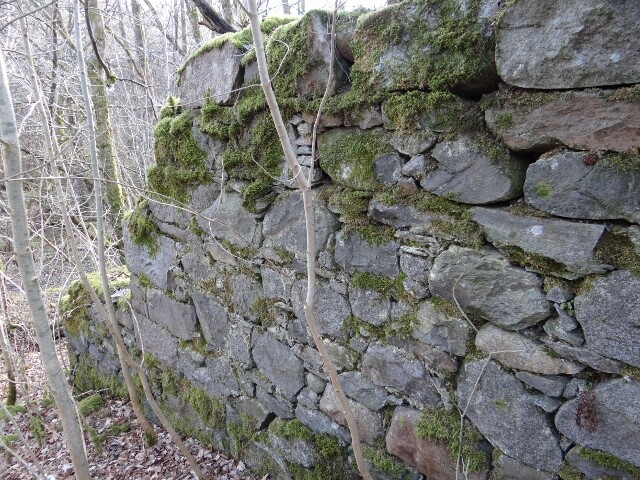 MHG49590_1.jpg