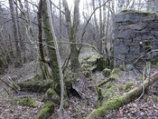 MHG49590_3.jpg