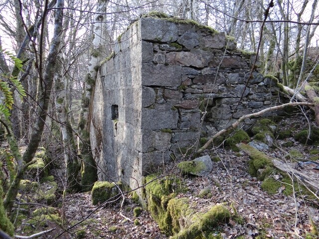 MHG49590_4.jpg