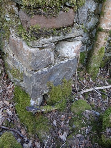 MHG49590_7.jpg