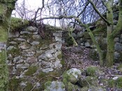 MHG49590_9.jpg