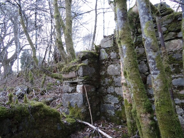 MHG49590_10.jpg
