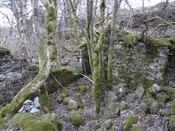 MHG49590_17.jpg