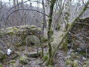 MHG49590_18.jpg