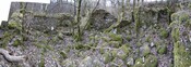 MHG49590_21.jpg
