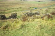 EHG4036_image_02.jpg
