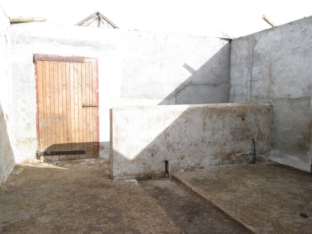 EHG3971_IMG_0217.jpg
