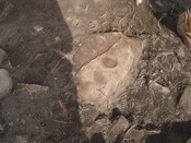 SHG26190_16.JPG