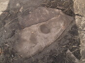 SHG26190_17.JPG