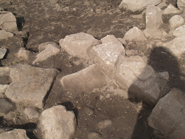 SHG26190_21.JPG