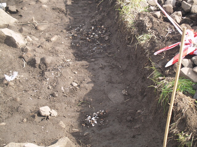 SHG26190_30.JPG