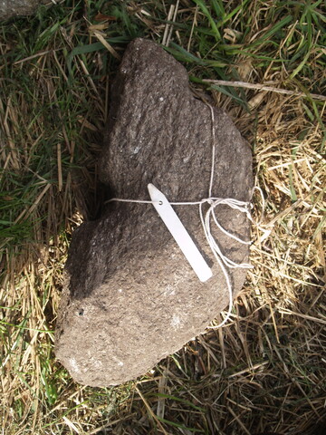SHG26190_37.JPG