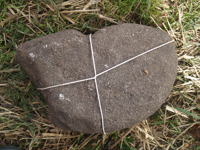 SHG26190_38.JPG